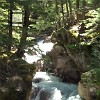 Trail of the Cedars. A Trilha dos Cedros.